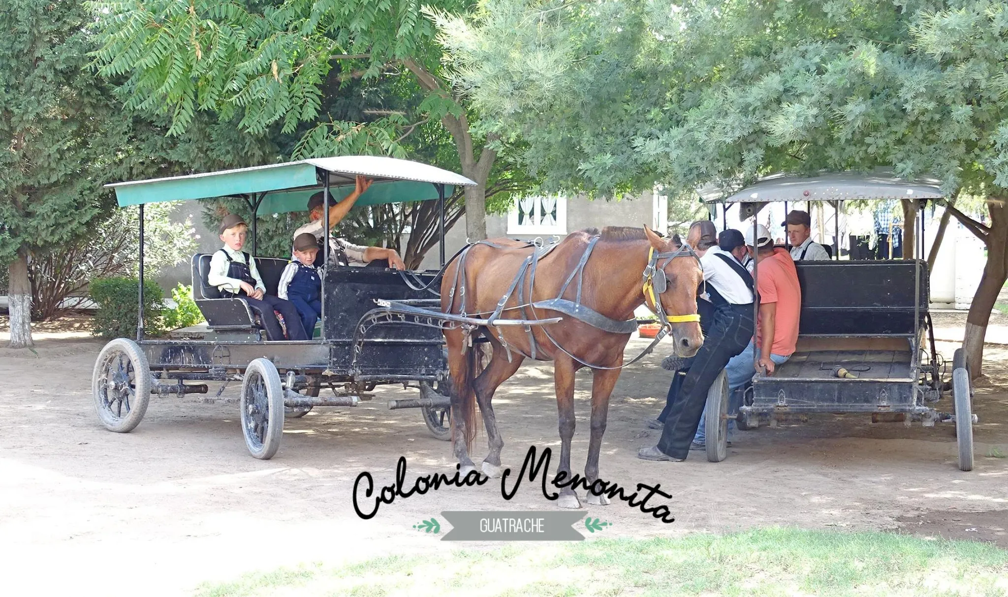 Colonia Menonita, una experiencia increíble!
