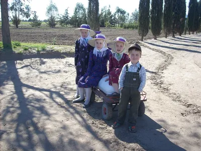 Colonia Menonita Nueva Esperanza, Guatraché: foto 25